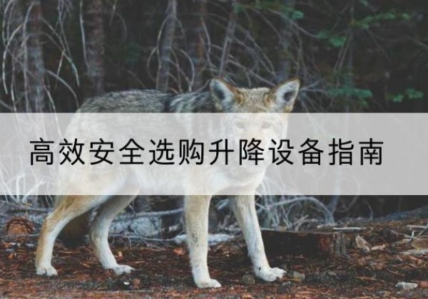 永安升降货梯厂家推荐-*安全选购升降设备指南