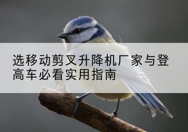 永安电动升降机厂家-选移动剪叉升降机厂家与登高车必看实用指南