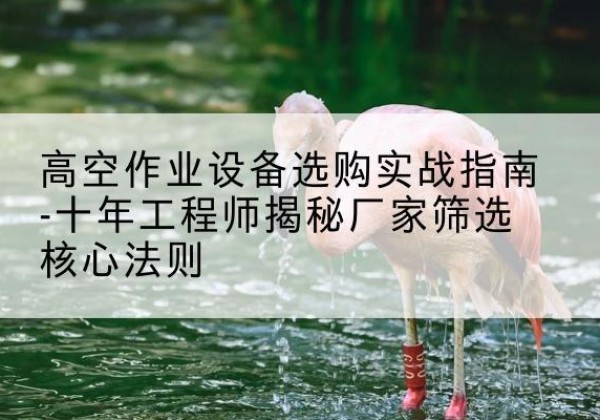 永安剪叉式升降机厂家-高空作业设备选购实战指南-十年工程师揭秘厂家筛选核心法则